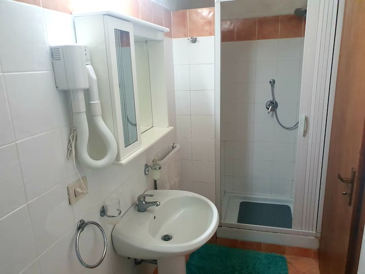 bathroom with cabin shower and hairdryer